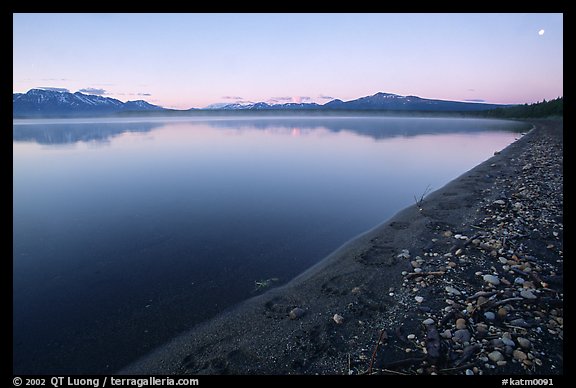 Bear tracks, Naknek lake. Katmai National Park, Alaska, USA.