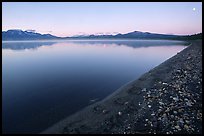 Bear tracks, Naknek lake. Katmai National Park, Alaska, USA.