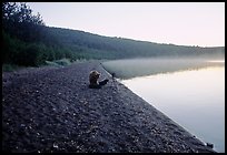 A brown bears plays with a photographer's equipment. Katmai National Park, Alaska, USA.