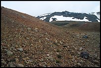 Pumice and Novarupta (the center of the 1912 eruption), Valley of Ten Thousand smokes. Katmai National Park, Alaska, USA.