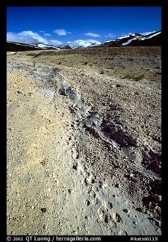 Valley with animal tracks in  ash, Valley of Ten Thousand smokes. Katmai National Park, Alaska, USA.