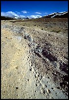 Valley with animal tracks in  ash, Valley of Ten Thousand smokes. Katmai National Park, Alaska, USA.