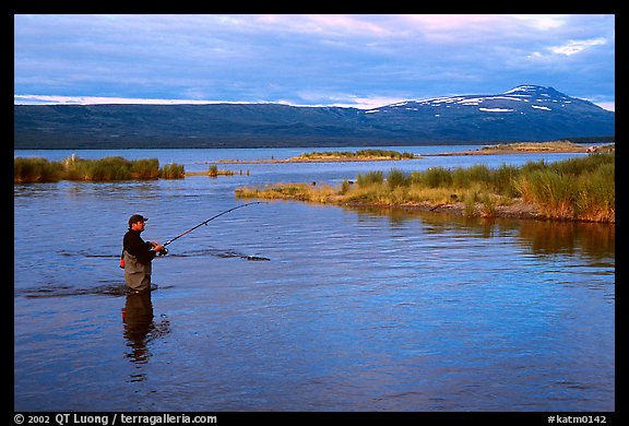 Man fishing for salmon in the Brooks river. Katmai National Park (color)
