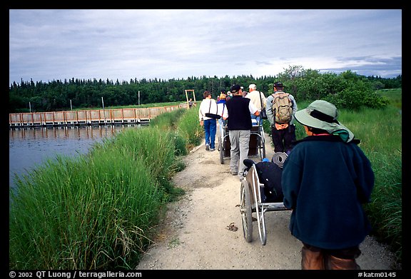 Group heading towards Brooks falls. Katmai National Park (color)