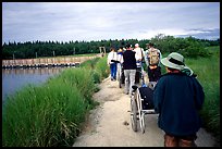 Group heading towards Brooks falls. Katmai National Park, Alaska, USA.