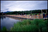 Crossing a bridge on the way to Brooks falls. Katmai National Park, Alaska, USA.