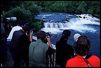 Bear viewing. Katmai National Park ( color)