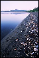 Bear tracks on the shore of Naknek lake. Katmai National Park, Alaska, USA.