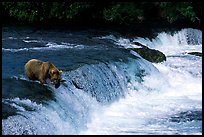 Overview of Brooks falls. Katmai National Park, Alaska, USA.