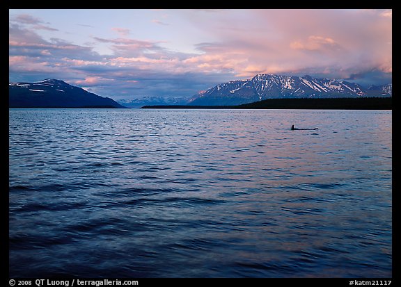 Naknek Lake at sunset with pink clouds. Katmai National Park, Alaska, USA.