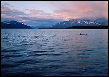 Naknek Lake at sunset with pink clouds. Katmai National Park ( color)