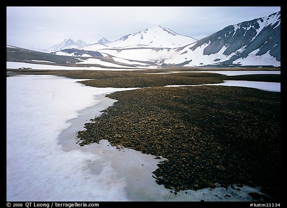 Melting snow and lichens, Valley of Ten Thousand smokes. Katmai National Park, Alaska, USA.