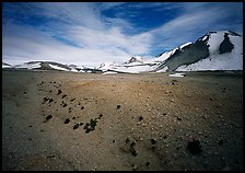 Rare plants growing out of the ash of Valley of Ten Thousand smokes. Katmai National Park ( color)