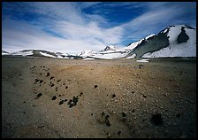 Rare plants growing out of the ash of Valley of Ten Thousand smokes. Katmai National Park, Alaska, USA.