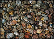 Detail of pumice, Valley of Ten Thousand smokes. Katmai National Park ( color)