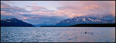 Naknek Lake and mountains with sunset pink clouds. Katmai National Park (Panoramic color)