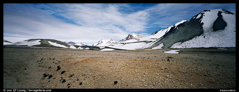 Tiny plants growing on ash floor, Valley of Ten Thousand Smoke. Katmai National Park (color)