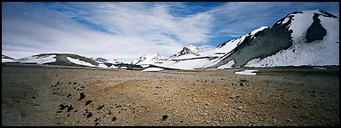 Tiny plants growing on ash floor, Valley of Ten Thousand Smoke. Katmai National Park (Panoramic color)