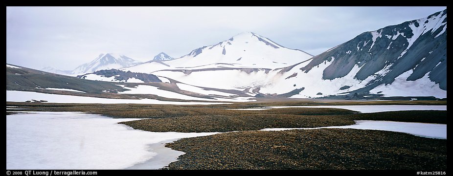 Lichens, snow patches, and snowy peaks. Katmai National Park, Alaska, USA.