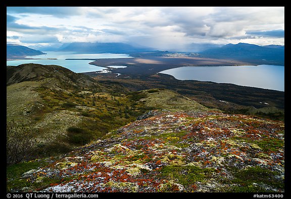 Naknek Lake and Brooks Lake from Dumpling mountain in autum. Katmai National Park (color)