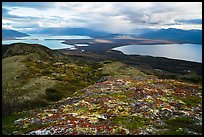 Naknek Lake and Brooks Lake from Dumpling mountain in autum. Katmai National Park ( color)