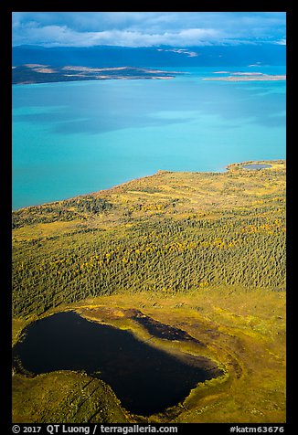 Aerial View of pond, tundra and Naknek Lake in autumn. Katmai National Park (color)