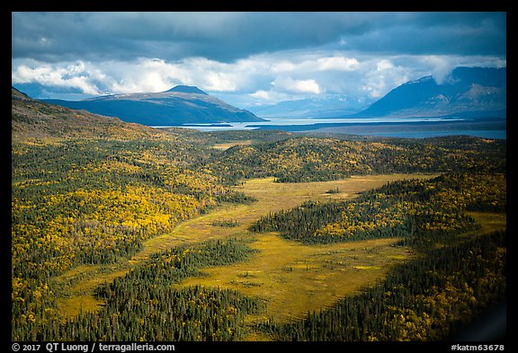Aerial View of meadows, forest, and Naknek Lake. Katmai National Park (color)