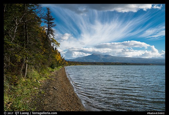 Shore of Lake Brooks. Katmai National Park (color)