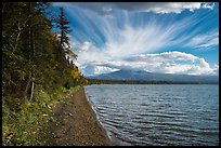 Shore of Lake Brooks. Katmai National Park ( color)