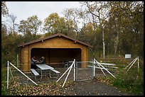 Picnic area enclosed in electric fence. Katmai National Park ( color)