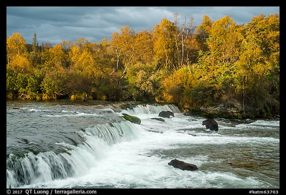 Brooks Falls and bears fishing in autumn. Katmai National Park, Alaska, USA.