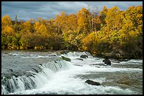 Brooks Falls and bears fishing in autumn. Katmai National Park, Alaska, USA.