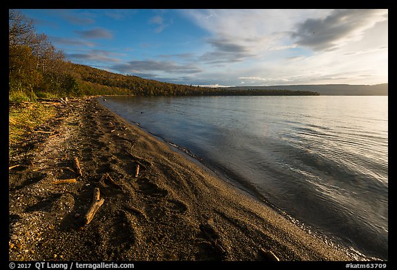 Huge bear footprints on shore of Naknek Lake. Katmai National Park (color)