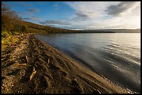 Huge bear footprints on shore of Naknek Lake. Katmai National Park ( color)