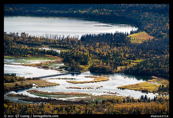 Footbridge over Brooks River from above. Katmai National Park (color)