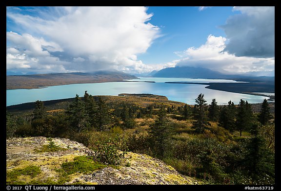 High view of Naknek Lake from treeline. Katmai National Park (color)