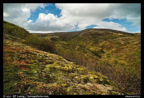 Dumpling Mountain. Katmai National Park, Alaska, USA.