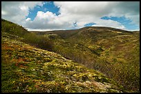 Dumpling Mountain. Katmai National Park ( color)