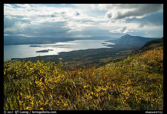 Tundra and shimering Lake Brooks. Katmai National Park (color)