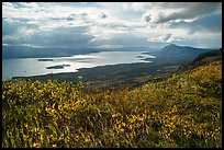 Tundra and shimering Lake Brooks. Katmai National Park ( color)