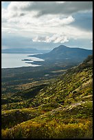 Lake Brooks from Dumpling Mountain. Katmai National Park, Alaska, USA.