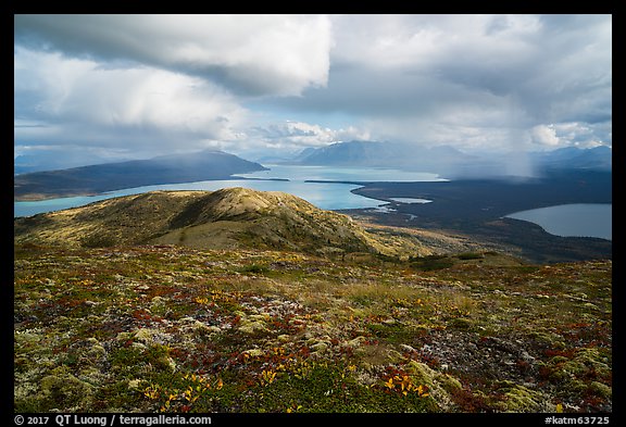 Tundra above lakes and distant rain showers. Katmai National Park (color)