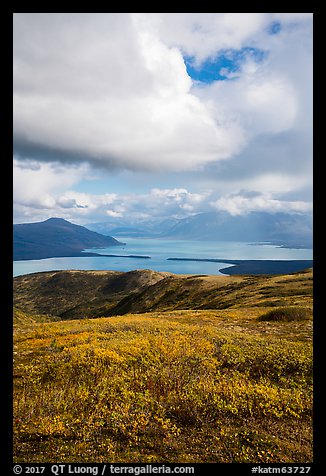 Tundra in fall colors above Naknek Lake. Katmai National Park (color)