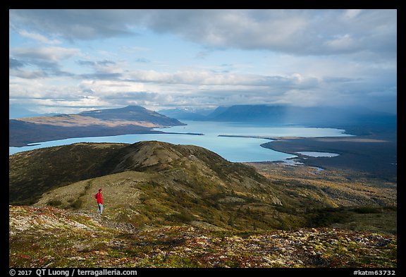 Visitor looking, Naknek Lake from Dumpling Mountain. Katmai National Park, Alaska, USA.