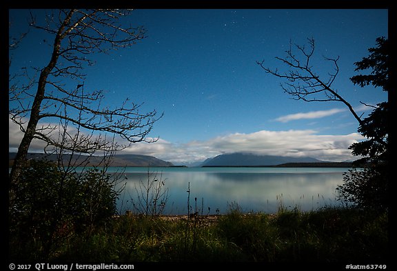 Naknek Lake at night, framed by trees. Katmai National Park (color)