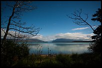 Naknek Lake at night, framed by trees. Katmai National Park ( color)