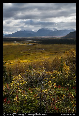 Dappled light over autumn tundra and mountains. Katmai National Park, Alaska, USA.