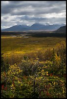 Dappled light over autumn tundra and mountains. Katmai National Park, Alaska, USA.