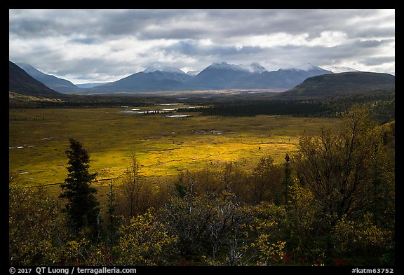 Shaft of light over tundra meadow downstream of Valley of Ten Thousand Smokes. Katmai National Park (color)