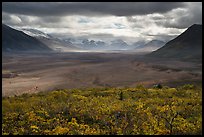 Valley of Ten Thousand Smokes in autumn. Katmai National Park ( color)